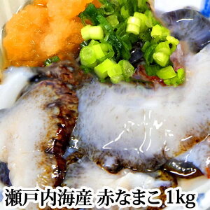 _NNnEɁI^wԂȂ܂  1kg ˓CYxC̓܂ɊĂ̂͂ł̂ŁA1kg͊C݂̏dł ( Ȃ܂ i}R Cl )