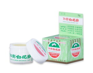 ySzŘaԍp Ԗ p^Cv 15gi1 j