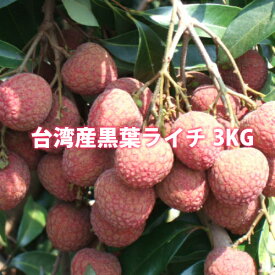 黒葉ライチ3kg 台湾産 期間限定・数量限定・送料無料
