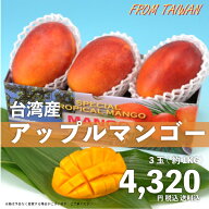 お中元 御中元 ギフト アップルマンゴー 台湾産3玉 送料無料