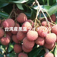 黒葉ライチ2kg 台湾産 期間限定・数量限定・送料無料
