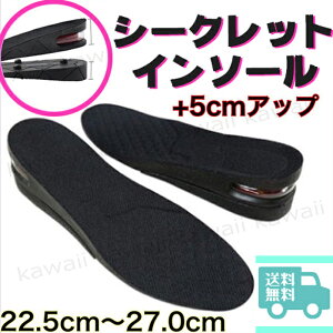 Cq[ C\[   V[NbgC\[ Xj[J[ q[ 5cmAbv 22.5`27cmΉ TCY\ jp V[Nbg ~ C~ Ռz Y fB[X 