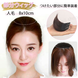 部分ウィッグ 人毛 トップピース ヘアピース 人毛ウィッグ 8x10cm ウィッグ 自然 髪の毛 かつら ウイッグ 取り付け 簡単 脱着 イメージチェンジ 人毛 部分ウイッグ パッチン クリップ エクステ ワンタッチ 人毛ウイッグ ボリューム 白髪隠し 増毛 円形 脱毛 隠し