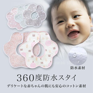 xr[X^C h 360x 360° X^C hxr[X^C 悾| 悾ꂩ K[[X^C ru O  Rbg K[[ j̎q ̎q Ԃ V xr[ Gv ۃ^Cv 