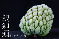 台湾釈迦頭アイス(しゃかとう)1袋(2個入)