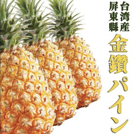 【予約】●送料無料ギフト専用自社輸入台湾産 幸せの完熟 パイナップル 金鑽パイン【 ギフト 17号鳳梨 金鑚鳳梨 甘い 金鑽パイナップル 酵素が活きている