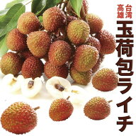 ●楽天市場ランキング1位獲得！【予約】●送料無料台湾産生ライチ 玉荷包ライチ（L玉）選べる4種類！【茘…