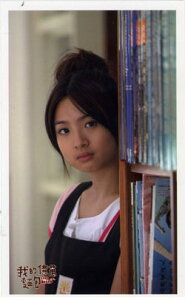 ȂZ[IAGEiш˝)Iݖ˕J[h