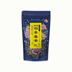 楽天市場 四季 春の通販 楽天市場 四季 春の通販