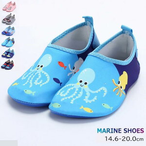 }V[Y LbY xr[ V C p q EH[^[V[Y r[`T_ Lv qp T_ ɂȂ EFbgV[Y W[ AEghA C  R Lv 