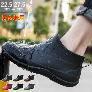 Cu[c o[u[c CV[Y S V[gu[c C JC K[fjOu[c fB[X Cu[c n L Sh RtH[g y ɂ ʊw ʋ 