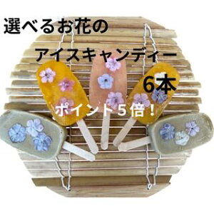 |Cg5{ ACXLfB[ i6{jACXo[ XC[c Iׂ t[c  蕨 Mtg v[g ԂvA GfBut[  wh nO ₫N 