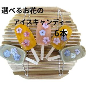 ACXLfB[ i6{jACXo[ XC[c Iׂ t[c  蕨 Mtg v[g ԂvA GfBut[  wh nO ₫N }S[ p