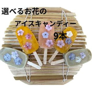 ACXLfB[i9j ACXo[ XC[c Iׂ t[c  蕨 Mtg v[g ԂvA GfBut[  wh nO ₫N }S[ pb