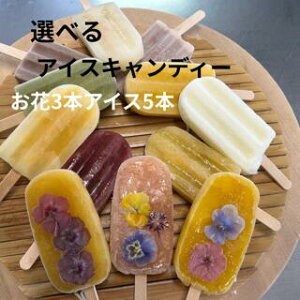 ACXLfB[i3 ACX5j ACXo[ XC[c Iׂ t[c  蕨 Mtg v[g ԂvA GfBut[  wh nO ₫N }S