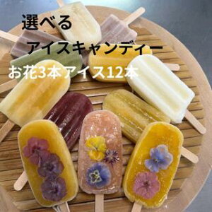 ACXLfB[ i3ACX12jACXo[ XC[c Iׂ t[c  蕨 Mtg v[g ԂvA GfBut[  wh nO ₫N }S