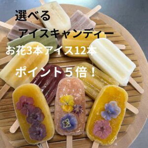 |Cg5{ ACXLfB[ i3ACX12jACXo[ XC[c Iׂ t[c  蕨 Mtg v[g ԂvA GfBut[  wh nO ₫