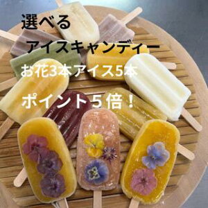 |Cg5{ ACXLfB[i3 ACX5j ACXo[ XC[c Iׂ t[c  蕨 Mtg v[g ԂvA GfBut[  wh nO ₫