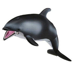 AjA AS-19 J}CJ (ɕVer.)