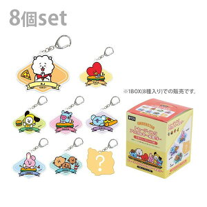 �y�R���v���[�g�Z�b�g�z�g���[�f�B���O�A�N�����L�[�z���_�[ �uBT21�v (8�����BOX)