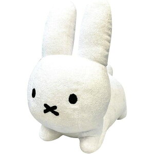 Nicott(jRbg)y miffy ~btB[ z jRbg mfV[gxgNbV 