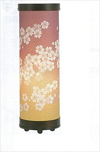 Ⴢ_~񓔁 ] ̕5d No.6438