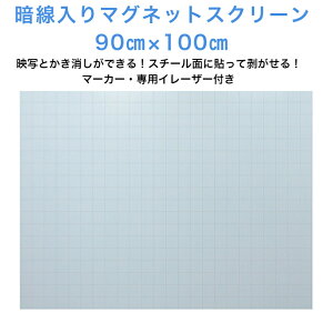 Ð}OlbgXN[ 90×100cm pC[UAA}[J[(Eԁjt