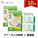 【ポイント10倍｜公式】 サンファイバープラス (6g×30包＋スティック7本おまけ付き) ×お得2個セット 食物繊維 パウ…
