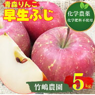 【A級品早生ふじ5kg】竹嶋有機農園の自然農法りんご早生ふじ＜「5kg箱」入り＞【常温便送料込/※沖縄・中…