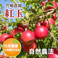 【A級品紅玉4.5kg】青森 竹嶋農園の自然農法りんご紅玉「4.5kg箱」入り☆ぜひ、りんごの皮も食べて/有機…