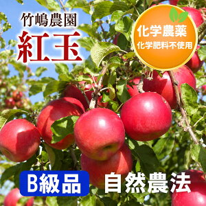 【B級品紅玉4.5kg】青森 竹嶋農園の自然農法りんご紅玉「4.5kg箱」入※ワケあり・傷あり　家庭用【常温便送料込/※