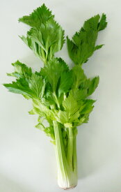 【西日本産（鹿児島県産、他）】有機、または自然農法　セロリ　1袋（約200～250g）