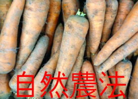 【北海道産、西日本産、または中部地方産】有機または自然農法、または特別栽培にんじん　約3kg