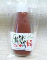 化学農薬・化学肥料不使用「龍神梅」絹梅（つぶし梅）　チューブ入り　180g（TZ)