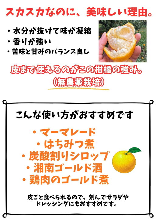 楽天市場】【雪害により特別販売】皮まで使える 山下農園 「湘南 