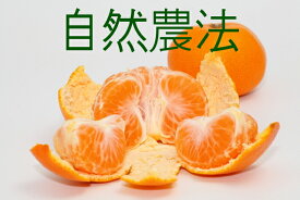 【香川県産】【常温送料込/一部地域別途】自然農法（有機栽培）みかん（サイズ混合）5kg（有機JAS認定）＜箱入り＞※なくなり次第終了。売り切れの際はご容赦ください。