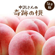 ◆7月下旬〜8月中旬頃発送【桃5kg箱】中沢さんの奇跡の桃　※「5kg箱」入（※7月は「白鳳」他/指定不可）…