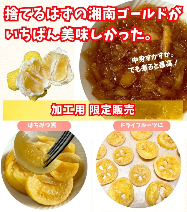 楽天市場】【雪害により特別販売】皮まで使える 山下農園 「湘南 