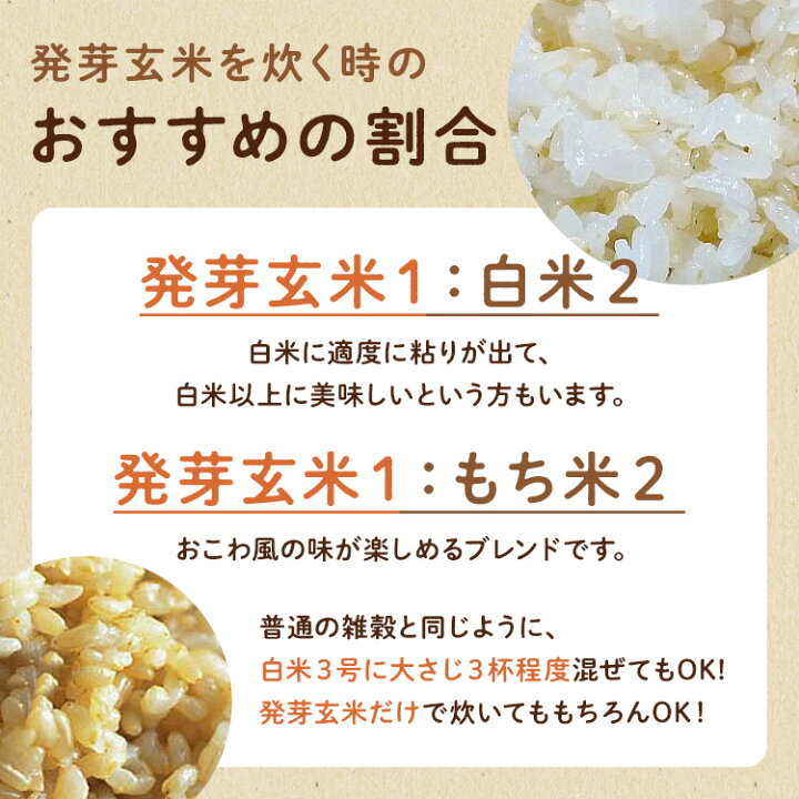 楽天市場】【有機JAS】発芽玄米(国内産有機玄米100%使用) 500g※メール 