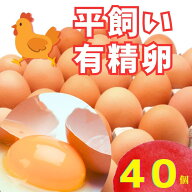 【常温便送料込/一部地域別】太陽食品の平飼い有精卵★「たいようの幸せたまご」40個※常温配送（6〜9月…