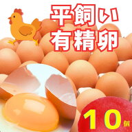 太陽食品の平飼い有精卵★「たいようの幸せたまご」10個※運動たっぷりの鶏から生まれた元気な卵です※常…