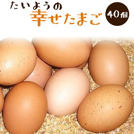 【4箱セット】太陽食品の平飼い有精卵★「たいようの幸せたまご」40個※常温配送（6〜9月は冷蔵配送推奨）※数量限定品。入荷状況によってはお届けまでお待ちいただく場合があります。