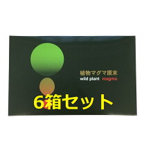 楽天市場】マグマ 原末の通販