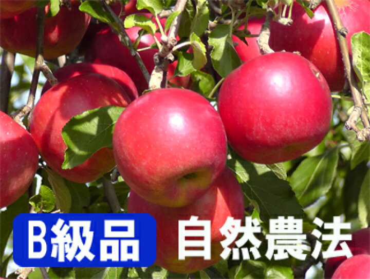楽天市場】☆7/4発送限定※お支払いはカード又は代引きのみ【B級品紅玉 