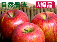 【A級品ふじ5kg】竹嶋農園の自然農法りんごふじ「5kg箱」入り※サンふじ（無袋栽培）☆ぜひ、りんごの皮…