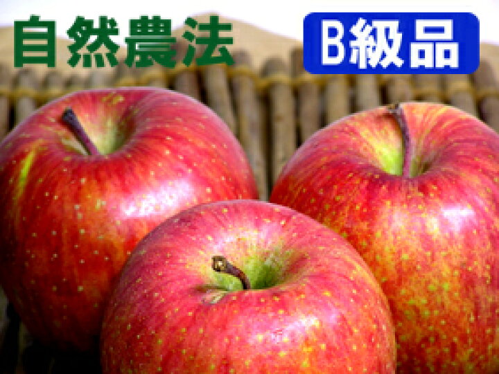 青森りんご 訳ありふじ・王林りんご詰合せ りんご 訳あり 青森県産 約 【B級品】竹嶋有機農園 王林林檎 15kg(3段) （化学農薬・化学肥料不使用）