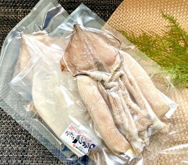 【冷凍】橘水産)真いか干し　1枚※「冷凍品のみ」10800円以上のご注文で、「冷凍便」の送料が無料となります