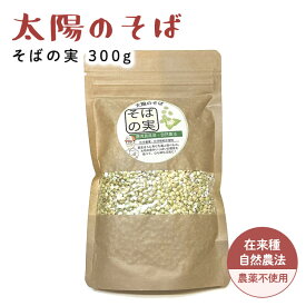 自然農法・国産（鹿児島県産）＞【太陽のそば】そばの実　200g※国産そば（メール便配送可　※1通に3個まで）