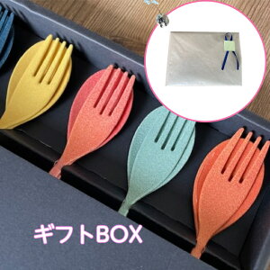 MtgBOX Mtg {bNX 3{ 4{ 5{ 6{ 8{ 10{ lߍ킹 NX}X V ] Jg[Mtg v[g j ̓ z Vz  o a 