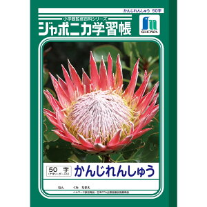 W|jJwK 񂶂񂵂イ 50 \[_[ JL-48 K B5 m[g K